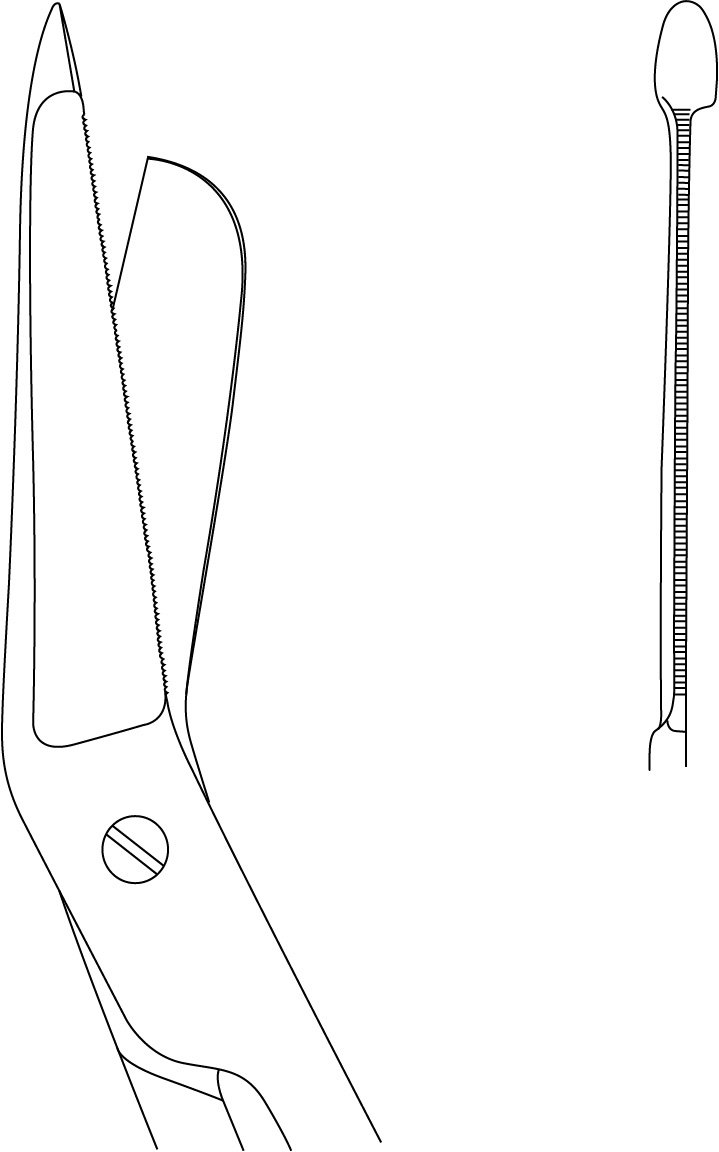 Lister Bandage Scissors 8″ large ring, one serrated blade - Image 2