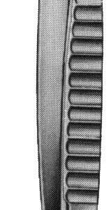DeBakey Forceps angled 12″ 2.0mm