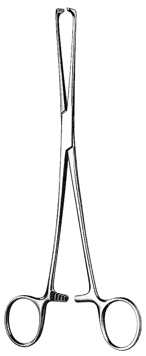 Allis Tissue Forceps 8″ atraumatic teeth