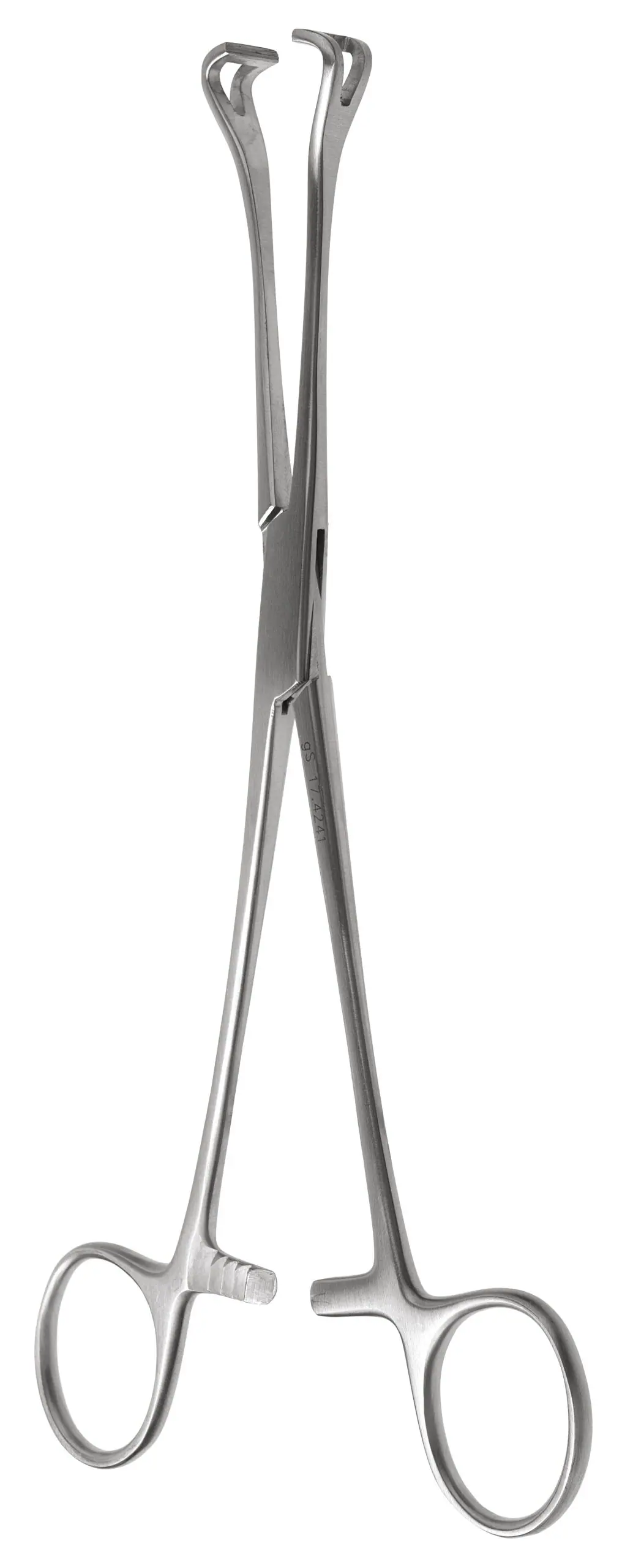 Babcock Forceps 8″