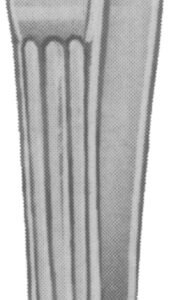 Carmalt Splinter Forceps 4 1/4″ curved serrated