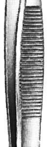 Dressing Forceps 5 1/2″ serrated