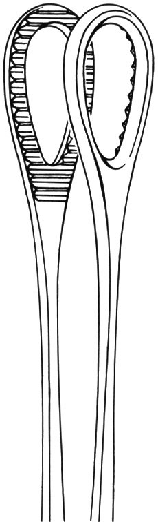 Foerster Forceps 9 1/2″ straight serrated - Image 2