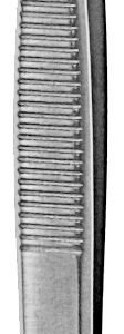 Bergh Cilia Forceps 3 1/2″ angled serrated