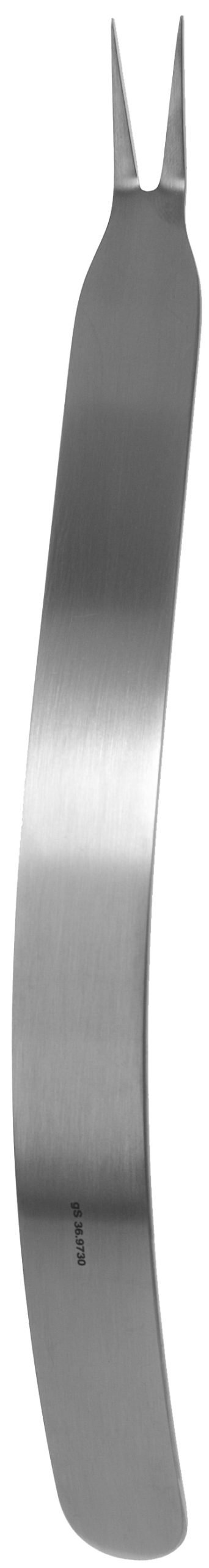 Capsule Retractor 10″ 2 prongs sharp 22mm
