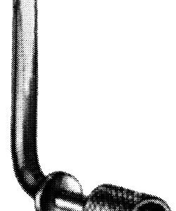 Scoville Hook 2″ deep