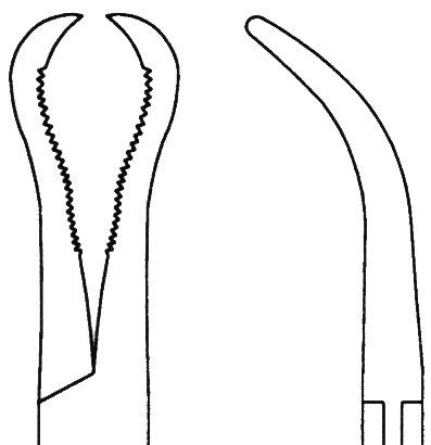 Bone Reduction Forceps 5″ curved 15mm serrated with pointed tips - Image 2