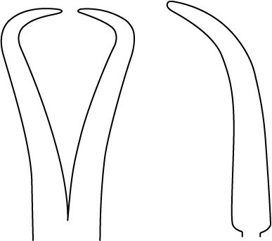 Phalangeal Percutaneous Bone Reduction Forceps 5″ with calibrated ratchet - Image 2