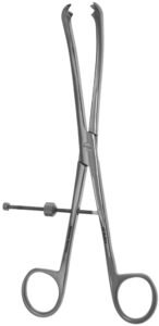 Fibula