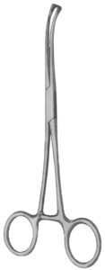 Sesamoidectomy