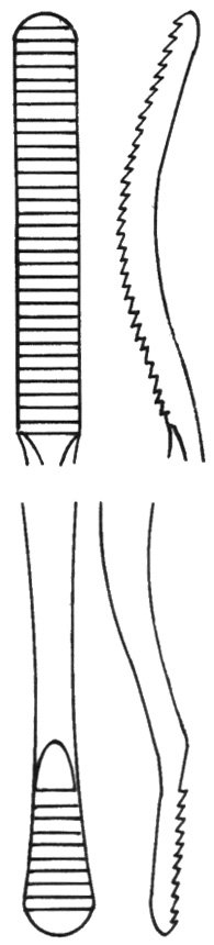 Bone File #10 double ended 7″ 5mm curved up/straight - Image 2