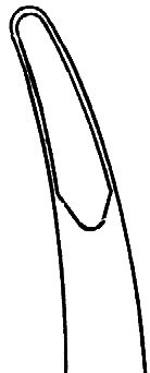Kleinert-Kutz Rongeur 6″ curved 3mm, double action - Image 2