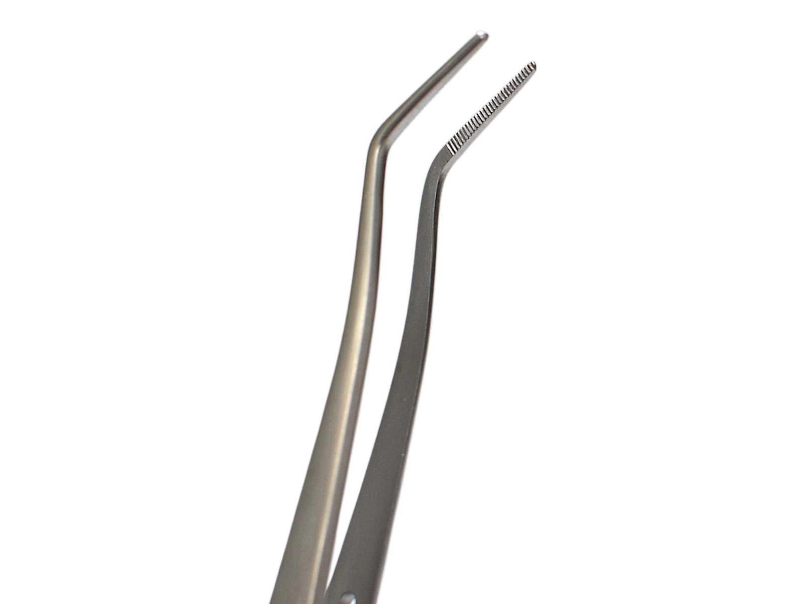 MK2 Meriam Dressing Fcps 6 1/2″ angled serr - Image 2