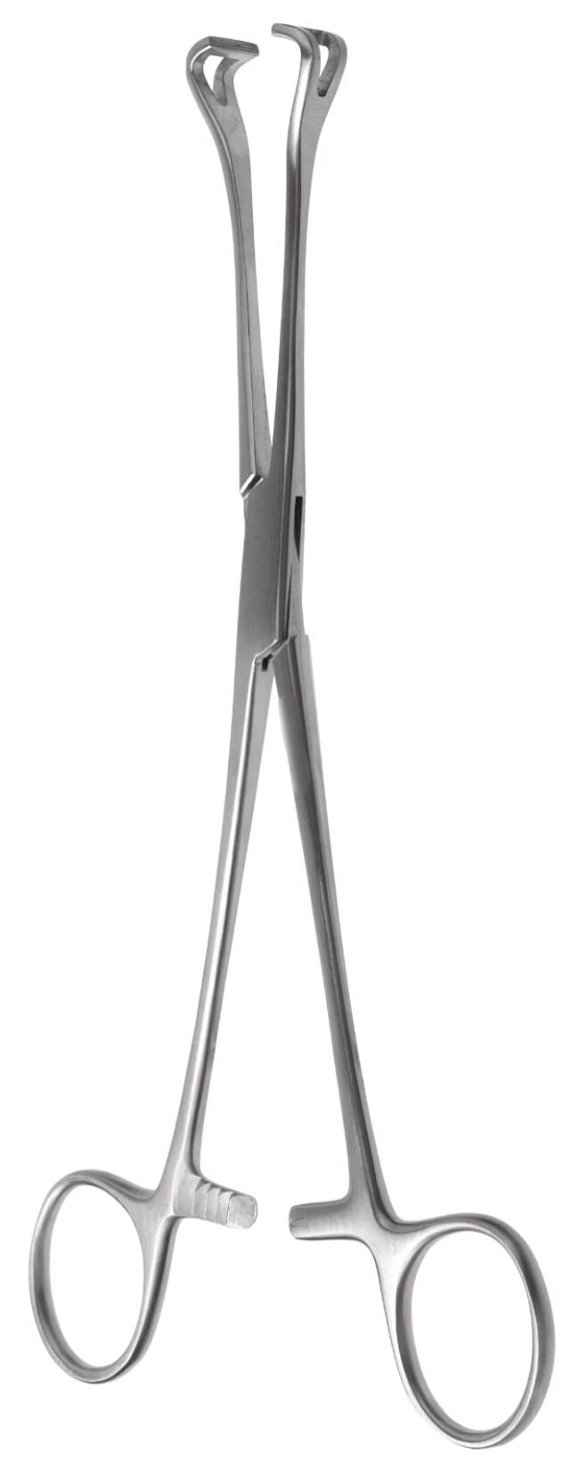 MK2 Babcock Tissue Fcps 6 1/4″